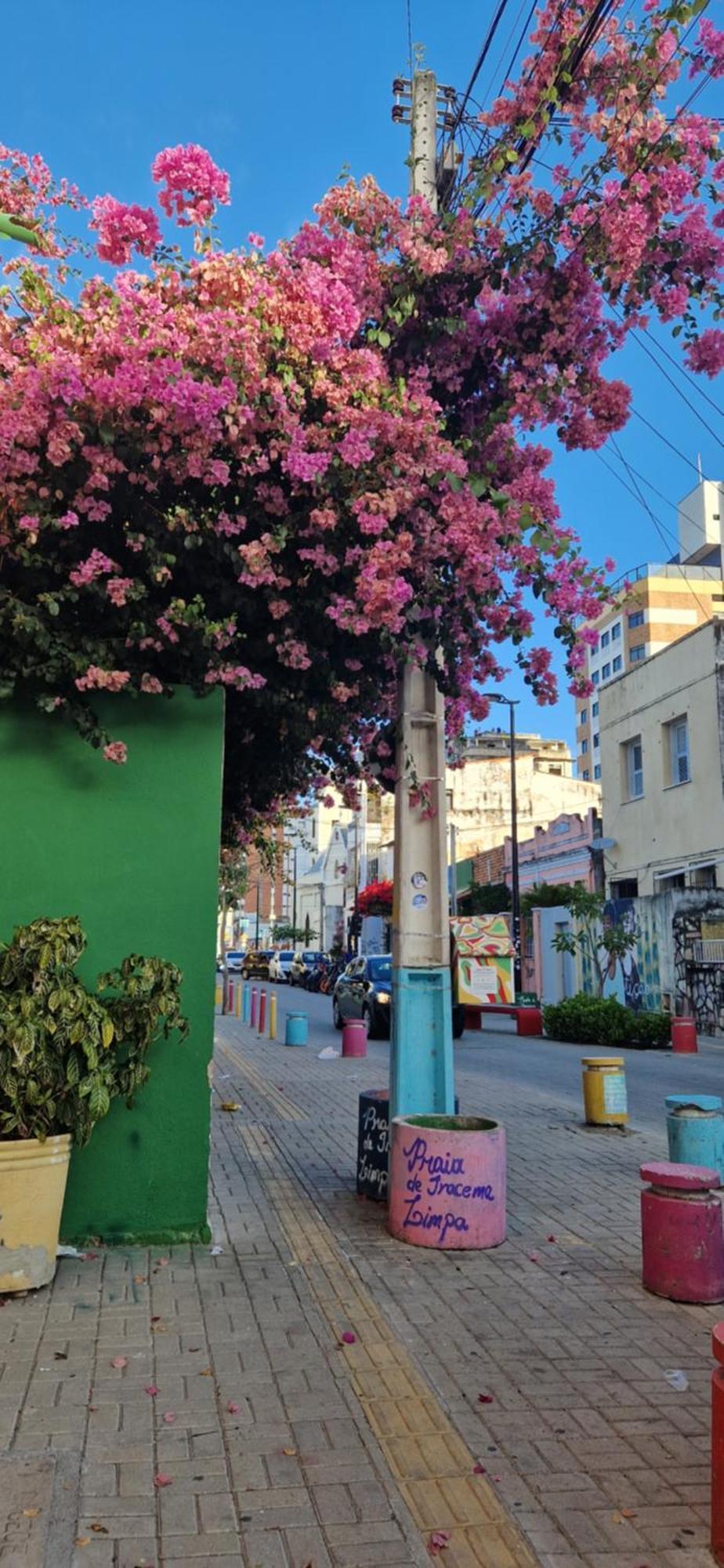 Jardim Iracema Διαμέρισμα Φορταλέζα Εξωτερικό φωτογραφία