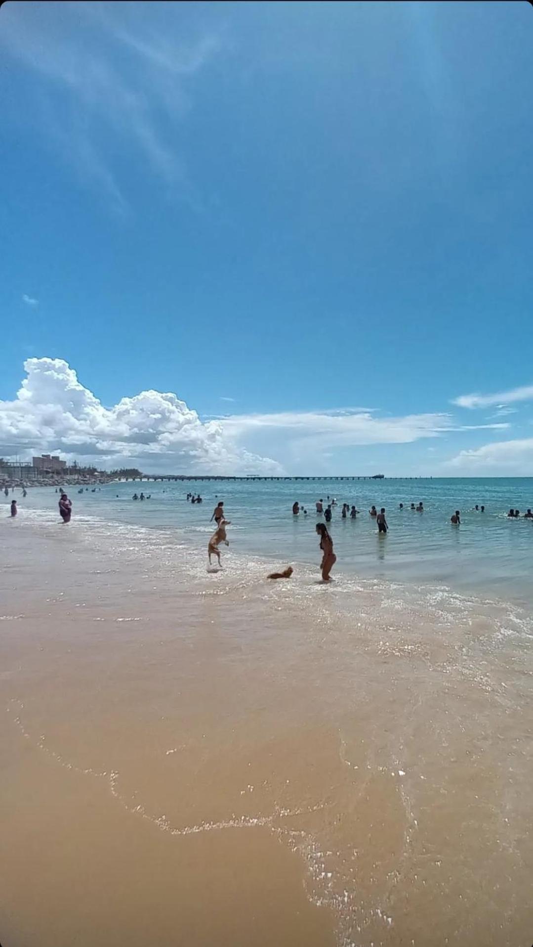 Jardim Iracema Διαμέρισμα Φορταλέζα Εξωτερικό φωτογραφία